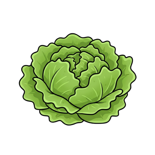 Salade bio